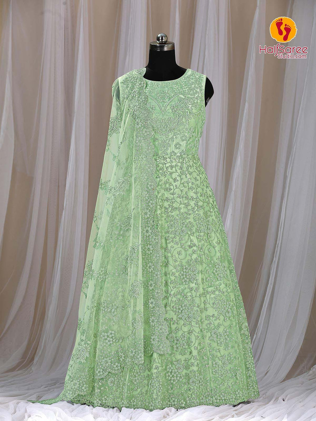 Black Dummy has dressed with Pista colour net embroidered gown